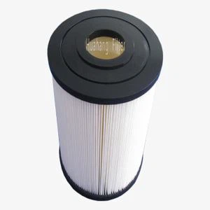 Cartutx de filtre d'aigua de la piscina